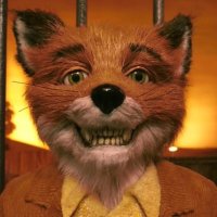 Lex (@swisshalcon) 's Twitter Profile