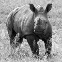 Brian Hannah - @aeneas07 - Twitter