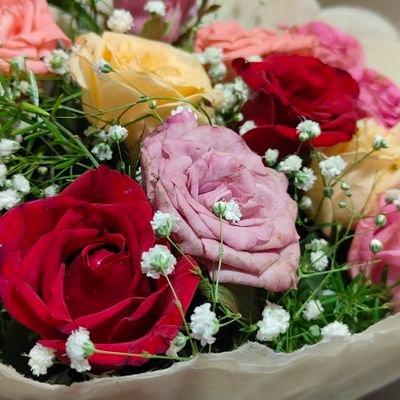 ishwaris08's profile picture. Digital Marketing Expert👩🏼‍💻