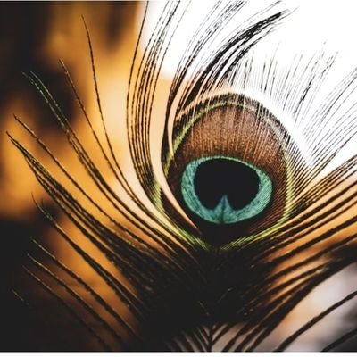 दवाई सस्ती कर दो जनाब
अब बेटे से पैसे ₹₹मांगने में शर्म आती है