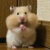 slow replies — no rush (@fulloflauv) Twitter profile photo slow replies — no rush (@fulloflauv) Twitter profile photo