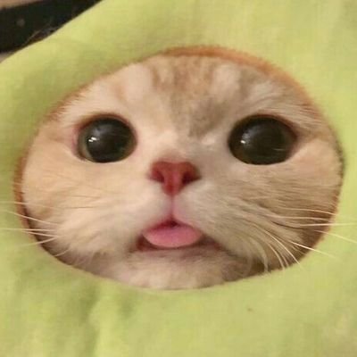 Cumiqさんのプロフィール画像