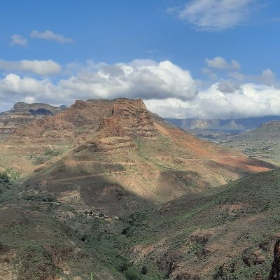 soyjuanenrique's profile picture. 🌱🚶🏽‍♂️🏋🏼‍♂️👨‍💻