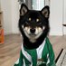 (Beti)co (@beticidog) Twitter profile photo (Beti)co (@beticidog) Twitter profile photo