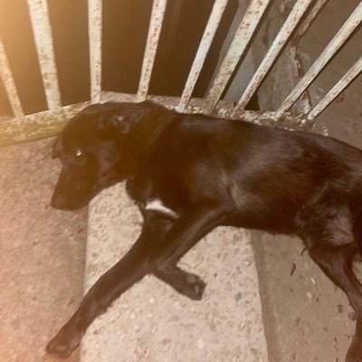 Synarchy23's profile picture. 