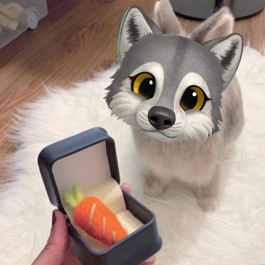 เบ้บบี้ติดแมว🥕 ݁˖さんのプロフィール画像