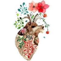 The Princess (@batool01219633) 's Twitter Profile