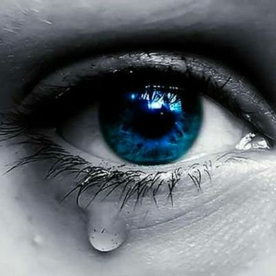 Timepass1614841's profile picture. 