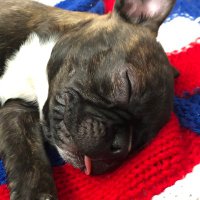 π¨π¦Carole DeLorenzi π¨π¦ (@delorenzicarole) 's Twitter Profile Photo π¨π¦Carole DeLorenzi π¨π¦ (@delorenzicarole) 's Twitter Profile Photo