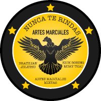 Nunca Te Rindas TEAM (@nuncateam) 's Twitter Profile