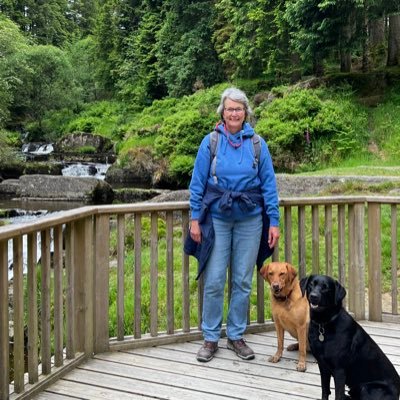 LesleyWrecsam's profile picture. President @FEEInt Working towards #sustainabledevelopment benefits for people & places #environment