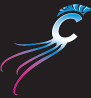 Charleston Man-of-War ~ International Football Organization Built on COMMUNITY ~ Celebrating the Low-Country’s Passion for Football