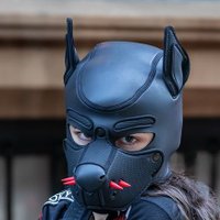 🏳️‍⚧️TheSmollestCharr (@smolpupcharr) 's Twitter Profile