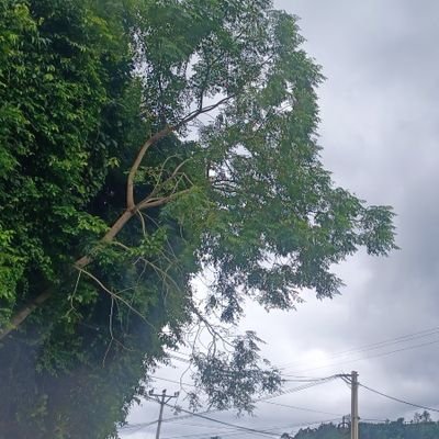 duongan8686's profile picture. Chào tất mọi người!!! Mình thích câu cá!! Ae nào có cùng đam mê tương tác vs mình để cùng nhau trải nghiệm những vùng đất mới,nhiều cá để ae mình câu nhé!!!!