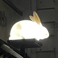 くろもん@上野御徒町 (@uenokuromon) 's Twitter Profile Photo くろもん@上野御徒町 (@uenokuromon) 's Twitter Profile Photo