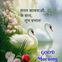 Dev singh (@devsing77331829) 's Twitter Profile