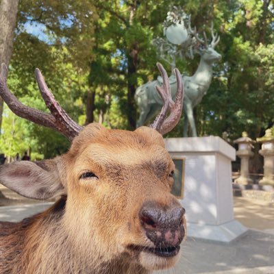 のあさんのプロフィール画像