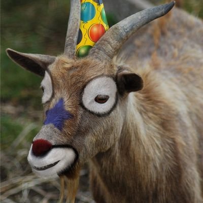 ClownJam's profile picture. I am Chuckles.

HoNk! :o)