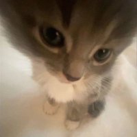 faw🍑 (@myotherside_zz) 's Twitter Profile