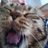 tidgy_rach's profile image