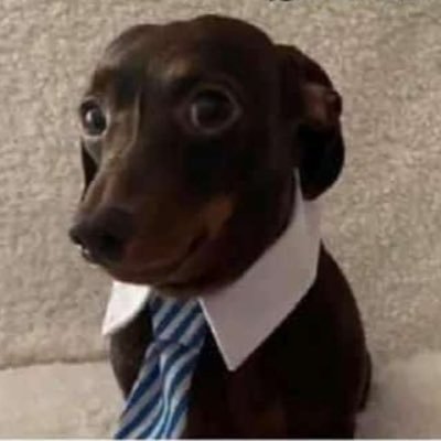 Fight for justice #MMTLP, #MMTLPFiasco Not a financial advisor. tweets are just my own opinion. Do your own DD. Nothing herein can be construed as legal advice.