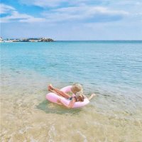 やえこ (@yaeko1151374) 's Twitter Profile