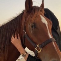 ' Rayam💙. (@_rayam98) 's Twitter Profile