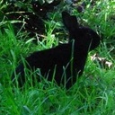 Hau Song Wong - @Regor63 - Twitter