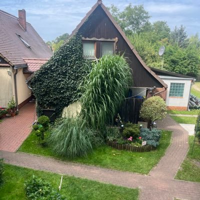 Alessan63860189's profile picture. crypto