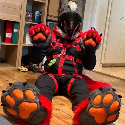 |27|pan|❤️dm open ❤️open engaged with @Wulfy_dog sweden|telegram *Theprototoaster*|rp|car guy/Lewd|vorny/suit by@ArgetandLazuli/PAW huffer ❤️NSFW car guy