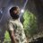 mvinay67's profile image