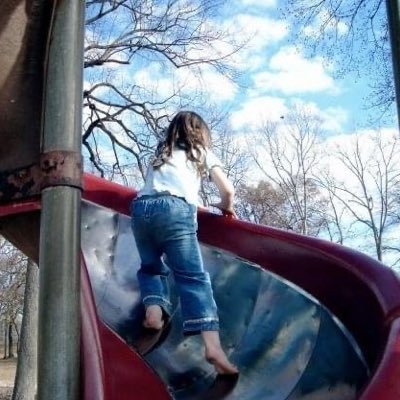 WiseWayTribe's profile picture. Truth 🌞 Liberty 🌍 Compassion ❤️ Solid ground we can stand on together 🦎🌻🌊🔥 Hearthtender Walking Wise Way