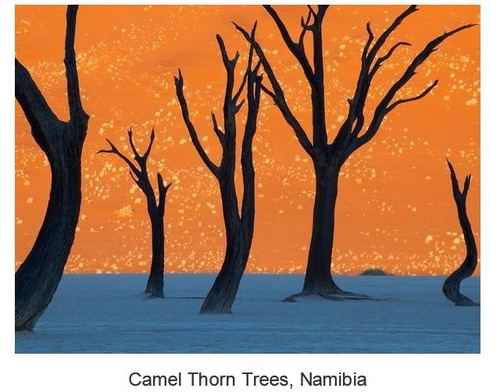 unddeo's profile picture. 