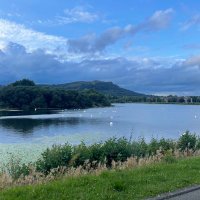 Clár (@catneyclar) 's Twitter Profile Photo