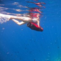 Annie 🏖🏖✈️ (@jonesannie19) 's Twitter Profile