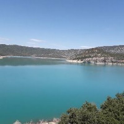 davidTM466585's profile picture. 