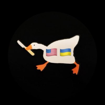 Angry Goose 🇺🇸 Profile