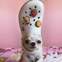 Gökçin Parlak (@avparlakgokcin) 's Twitter Profile Photo