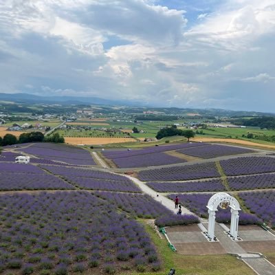 ichiichiiicchi's profile picture. ITフリーランス。起業するために活動中。 子育てで一時期休止していましたが、諦めきれずに再チャレンジ。大谷翔平、サッカー、競馬好きです。