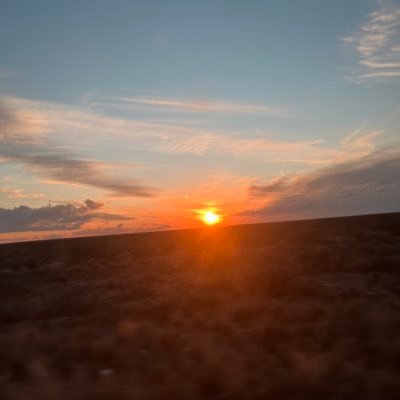 lurichardet's profile picture. 