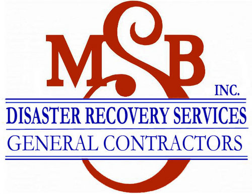 MSBDisaster's profile picture. 