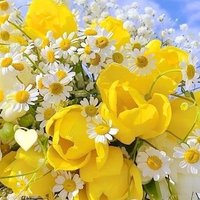 Omar2348 (@omar23489) 's Twitter Profile