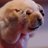 missyoutang's profile image