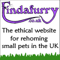 Findafurry is a not-for-profit website run by volunteers helping to find new homes for small pets in the UK.