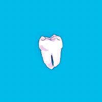 おやしらず (@oyashirazu_4) Twitter profile photo