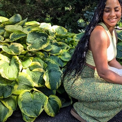 inthislifeofcyn's profile picture. the prototype