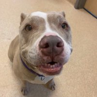 SpudMgmt2023 (@spudmgmt2023) 's Twitter Profile