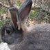 PLAYBOY (@pippo796) Twitter profile photo PLAYBOY (@pippo796) Twitter profile photo