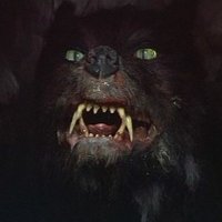 The Nothing (@jamuff111) 's Twitter Profile