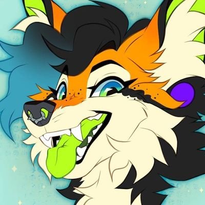 doodleyote.bsky.socialさんのプロフィール画像